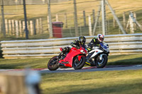 Evening_Low_Mid_Group